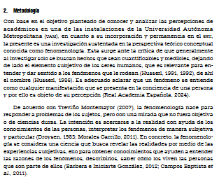 Artículo científico ‘Pertenencia al Sistema Nacional de Investigadoras e Investigadores: La experiencia de académicos en una universidad mexicana.’ (2024)