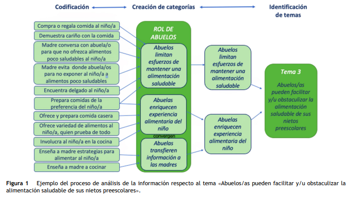 Artículo científico ‘Influencias familiares en las prácticas de alimentación materna a niños preescolares de familias vulnerables de la Región Metropolitana de Chile.’ (2021)